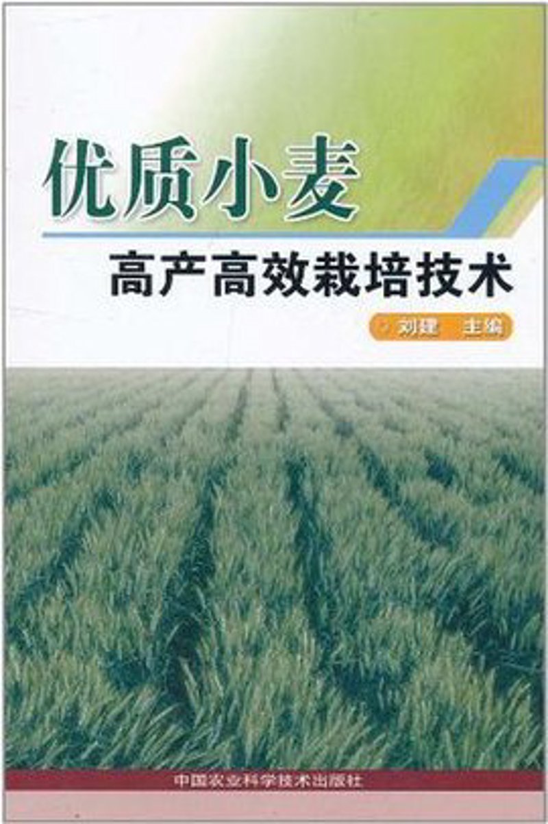 上海软件开发选购指南:选择靠谱的合作伙伴