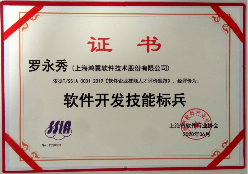 上海软件开发:优势与挑战并存